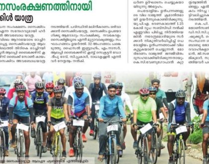 Media Report